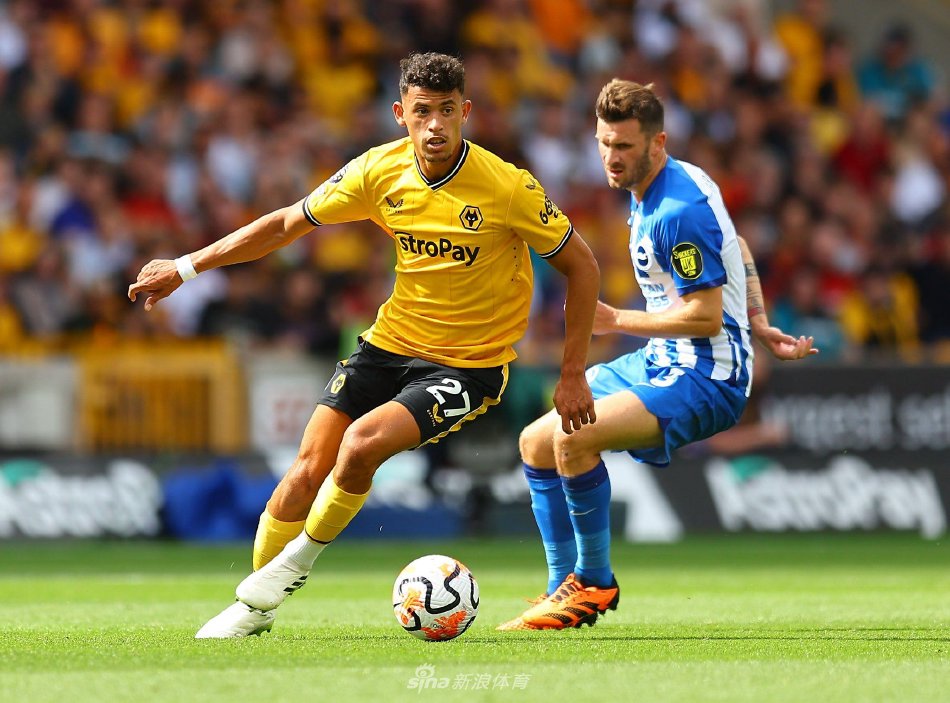 莱斯特城获 莱斯特城获